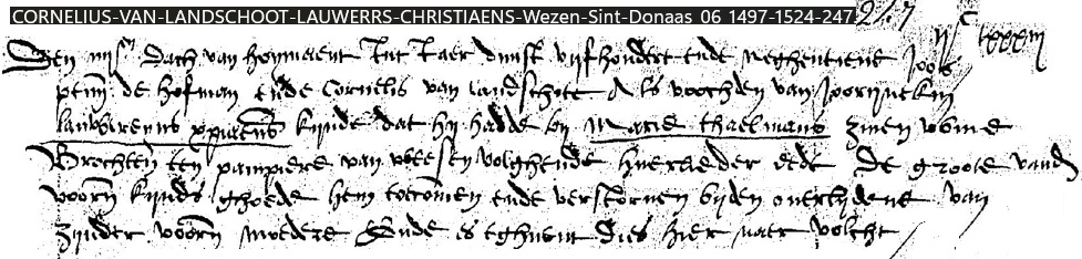 Joorijntken Christiaens, weesinschrijving 1519